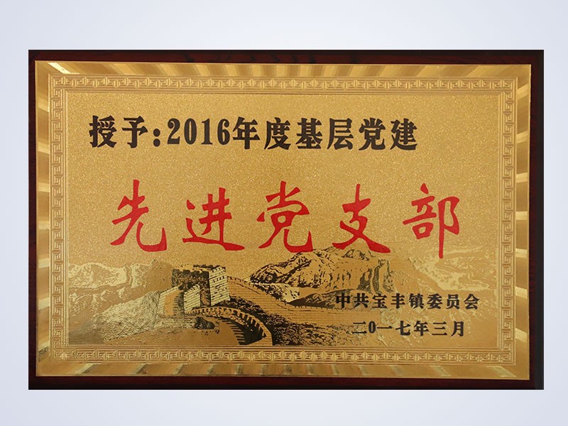 2017年3月，公司党支部荣获基层党建“先进党支部”荣誉称号