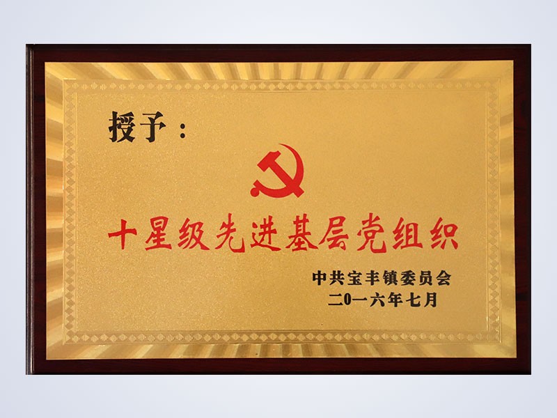 2016年7月，公司党支部荣获“十星级先进基层党组织”荣誉称号